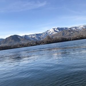 Meet your Posher, Daisy